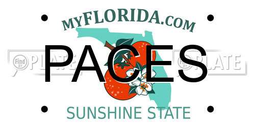 PACES Florida License Plate