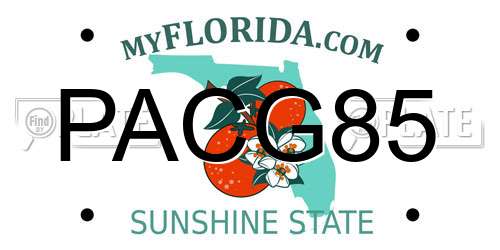 PACG85 Florida License Plate
