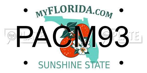PACM93 Florida License Plate