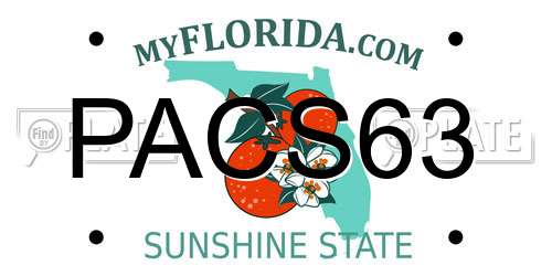 PACS63 Florida License Plate