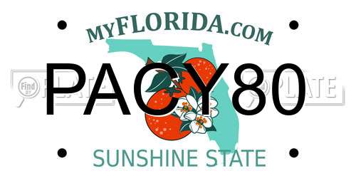 PACY80 Florida License Plate