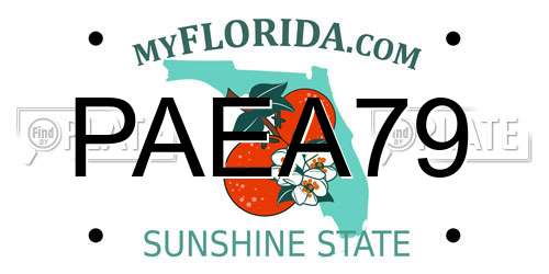 PAEA79 Florida License Plate