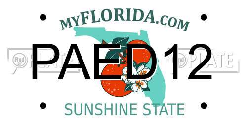 PAED12 Florida License Plate