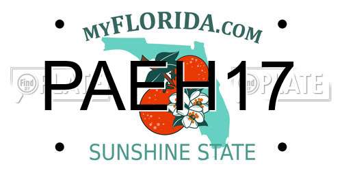 PAEH17 Florida License Plate
