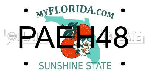 PAEH48 Florida License Plate