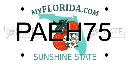 PAEH75 Florida License Plate
