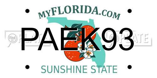 PAEK93 Florida License Plate