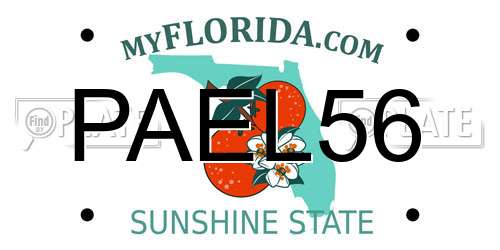 PAEL56 Florida License Plate