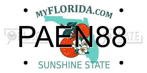 PAEN88 Florida License Plate
