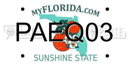 PAEQ03 Florida License Plate