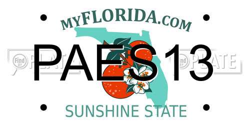 PAES13 Florida License Plate