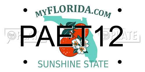 PAET12 Florida License Plate