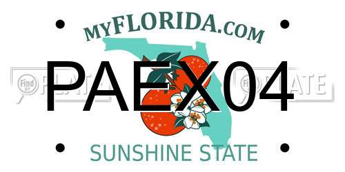 PAEX04 Florida License Plate