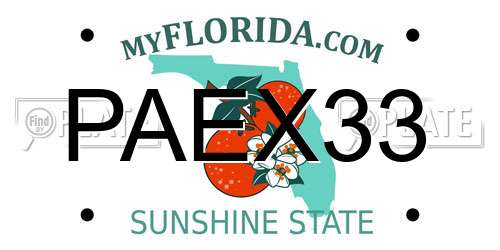 PAEX33 Florida License Plate