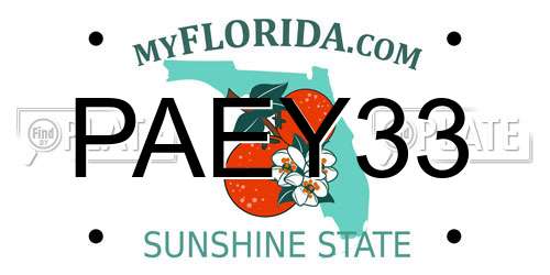 PAEY33 Florida License Plate