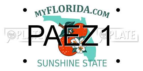 PAEZ1 Florida License Plate