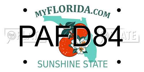 PAFD84 Florida License Plate