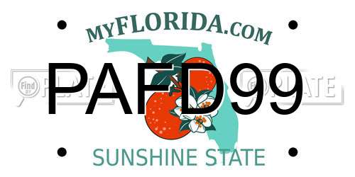 PAFD99 Florida License Plate