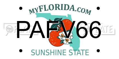 PAFV66 Florida License Plate
