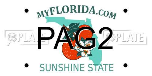PAG2 Florida License Plate