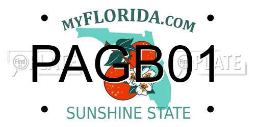 PAGB01 Florida License Plate