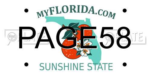 PAGE58 Florida License Plate
