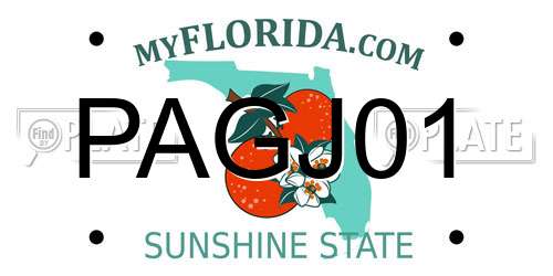 PAGJ01 Florida License Plate