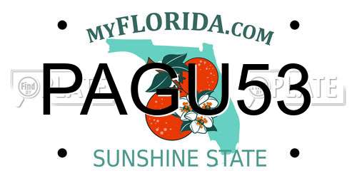 PAGU53 Florida License Plate