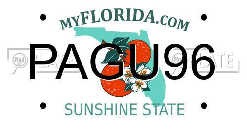 PAGU96 Florida License Plate