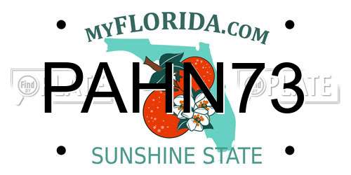 PAHN73 Florida License Plate