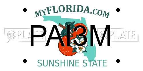 PAI3M Florida License Plate