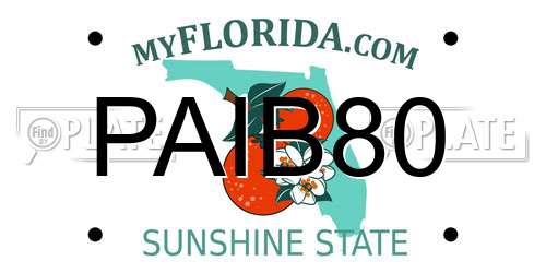 PAIB80 Florida License Plate
