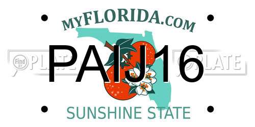 PAIJ16 Florida License Plate