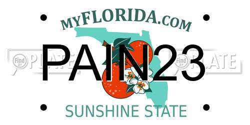 PAIN23 Florida License Plate