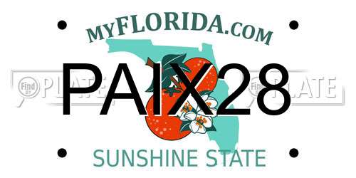 PAIX28 Florida License Plate