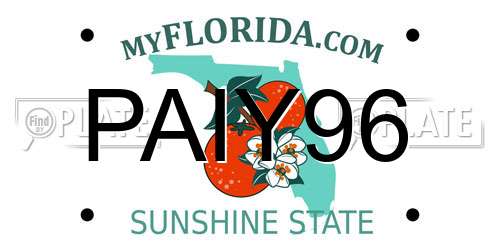 PAIY96 Florida License Plate