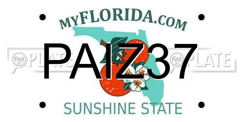 PAIZ37 Florida License Plate