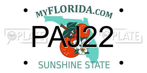 PAJ22 Florida License Plate