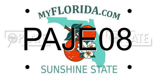 PAJE08 Florida License Plate