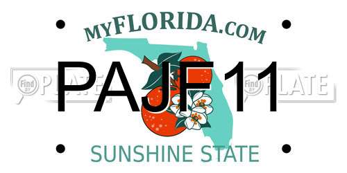 PAJF11 Florida License Plate