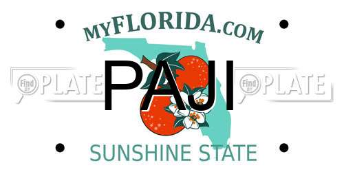 PAJI Florida License Plate