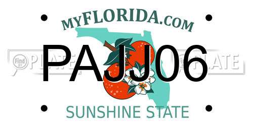 PAJJ06 Florida License Plate