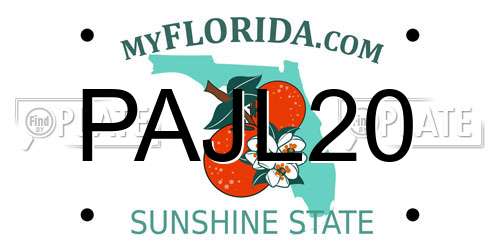 PAJL20 Florida License Plate