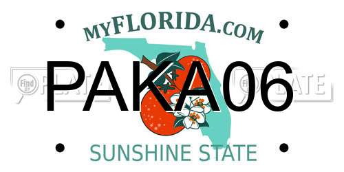 PAKA06 Florida License Plate