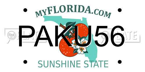 PAKU56 Florida License Plate