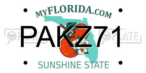 PAKZ71 Florida License Plate