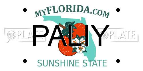 PALIY Florida License Plate