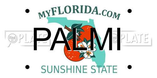 PALMI Florida License Plate