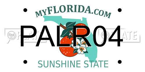 PALR04 Florida License Plate