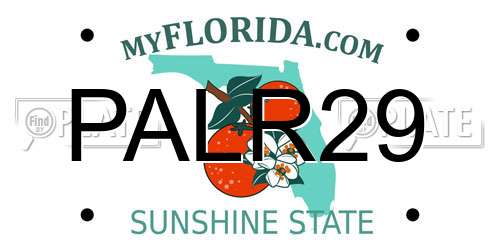 PALR29 Florida License Plate